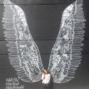 working-on-a-better-rose avatar