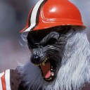 workingwerewoof avatar