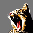 world-building-prompts avatar