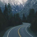 world-critter avatar