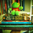 world-in-a-book avatar