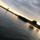 world-of-mine avatar