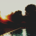 world-of-pairings avatar