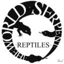 world-serpent-reptiles avatar