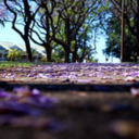 world-thru-my-ears-blog avatar