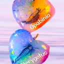 world-we-remember avatar