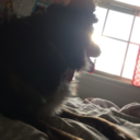 worldaesthetic avatar