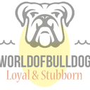 worldofbulldog avatar