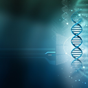 worldofparadox avatar