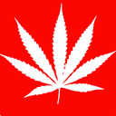 worldofstoners avatar