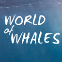 worldofwhales avatar