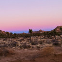 worlds-awayyy avatar