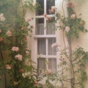 worlds-ofwonders avatar