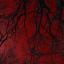 worlds-okayest-detective avatar