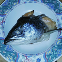 worldsgreatestplanetonearth avatar