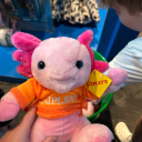 worldsworstpresident avatar