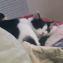 worldwidejinsworld avatar