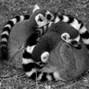 worldwideweirdo23 avatar