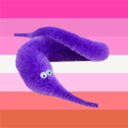 wormdykes avatar