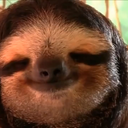 worms-am-i-right avatar