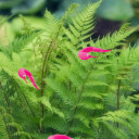 worms-of-a-string-stick-together avatar