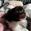 worshippedbypagans avatar