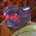 worstversionofme avatar