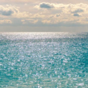 wortediedermundnichtzudenkenwagt avatar