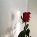 worthless-and-unloved avatar