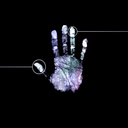 worthywhollie avatar