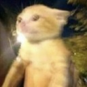 wot-gr avatar