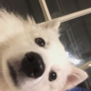 would-you-fuck-me-if-i avatar