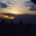 wouldanyotherrosesmellassweet avatar