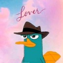 woulddieforperrytheplatypus avatar