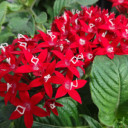 wouldntyou-liketoknow avatar