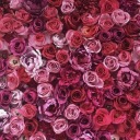 wouldyoulightmyway avatar