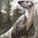 wounding-tooth avatar