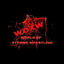 woxwrestling avatar