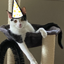 wozardpostingforwizards avatar