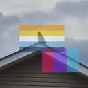 wraithamongtheroses avatar