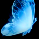 wraithbutterflies avatar