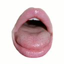 wrappedaroundyou avatar