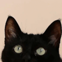 wrencatte avatar