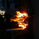 wrestlecosmological avatar