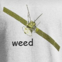 wrestlingculture avatar