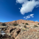 wrestlingisreels avatar