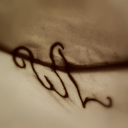 wretched-letter-blog avatar