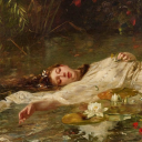 wretched-meadow avatar