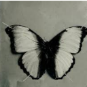 wretchedcreature2704 avatar