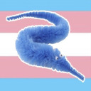 wrigglywoollyworm avatar